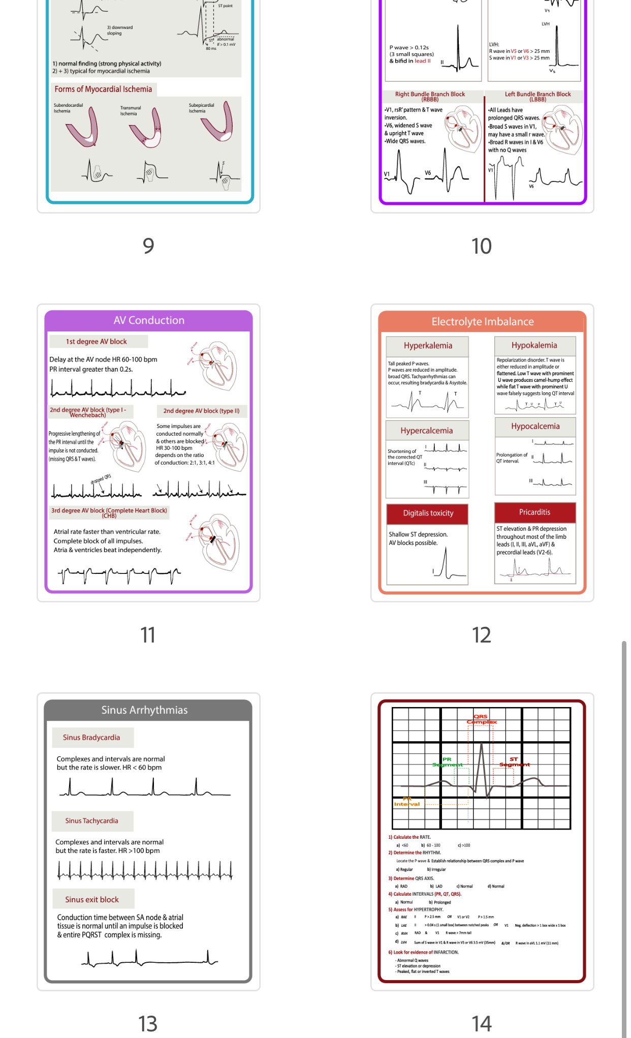 ECG Reference Guide - ECG Building Blocks